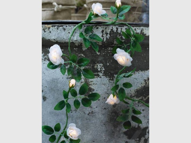 guirlande lumineuse roses Pure Déco