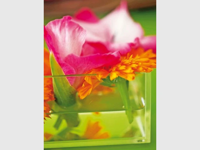 Exotique - Fleurs de Tricia Guild
