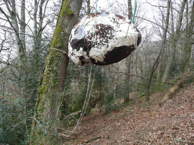 La cabane vache - Cabane du trappeur - Lucien Cassat