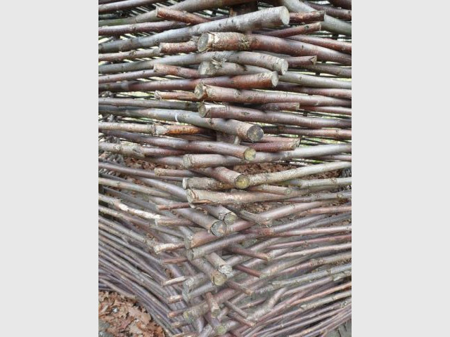 Détail du tressage de la cabane - Cabane du trappeur - Lucien Cassat