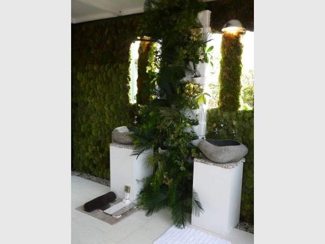 Mur végétal - Appartement terrasse - BHV