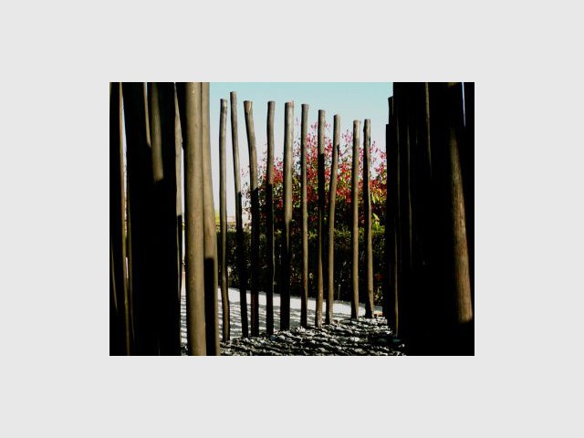 Troncs d'arbres calcinés - Jardin Agence Atelier Altern - Festival international de jardins de Ponte de Lima - Portugal