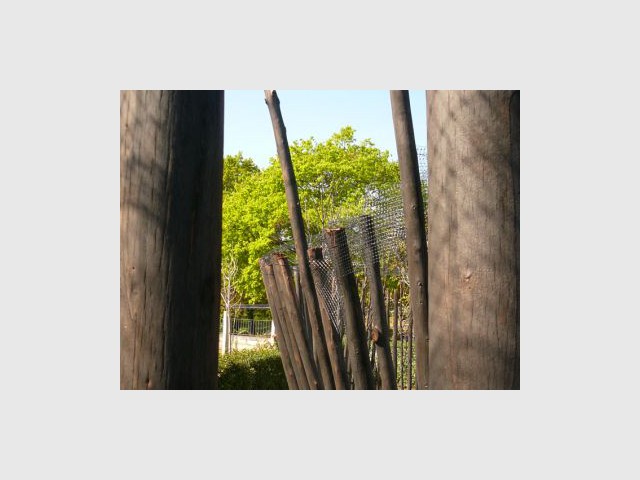 Troncs inclinés - Jardin Agence Atelier Altern - Festival international de jardins de Ponte de Lima - Portugal