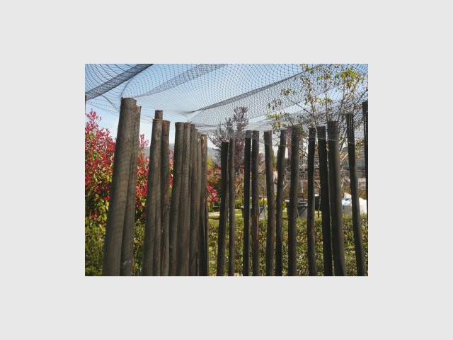 Notion de verticalité - Jardin Agence Atelier Altern - Festival international de jardins de Ponte de Lima - Portugal