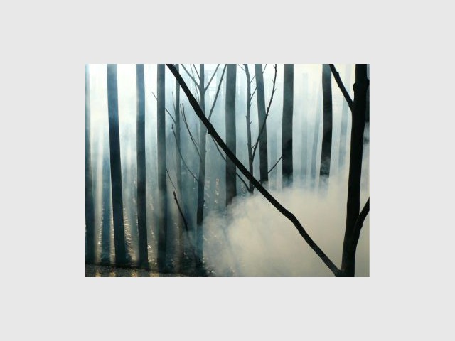 Jeux de fumée - Jardin Agence Atelier Altern - Festival international de jardins de Ponte de Lima - Portugal