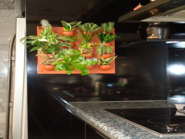 Cholorophylle dans la cuisine - Mur végétal décoration travaux plantes fleurs