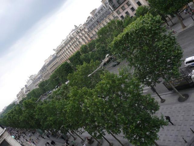 Champs-Elysées de Paris - avenue