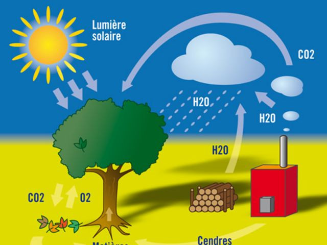 Zoom sur la biomasse
