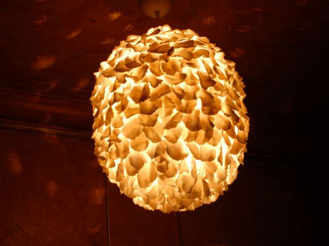 lustre venus