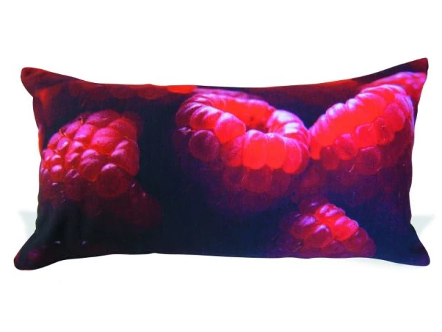 Téo Jasmin - coussin