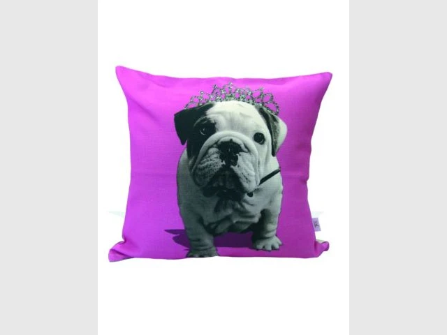 Graine d'intérieur - coussin