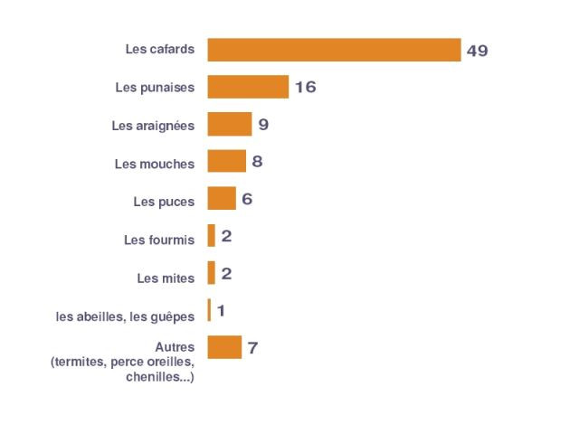 Les insectes dégoûtent le plus