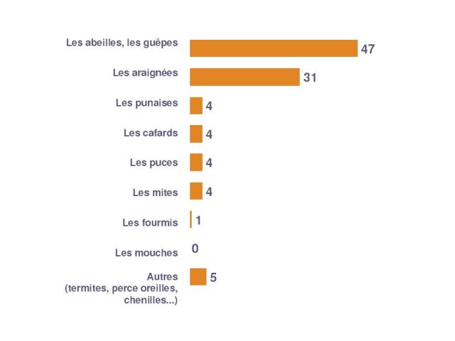 Les insectes qui font peur