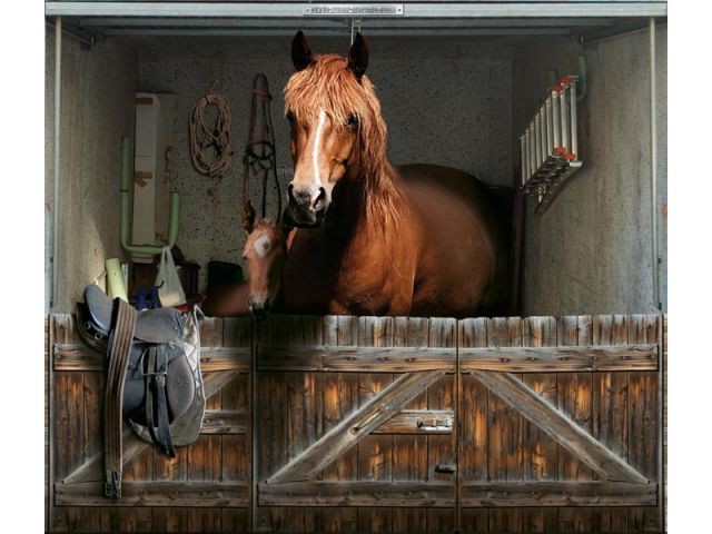 Cheval - www.style-your-garage.com