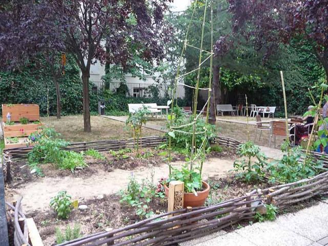 Le potager - Jardin Curie