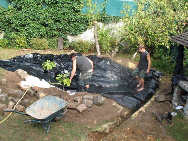 Avant/après : 1 bassin pour redonner vie à 1 jardin