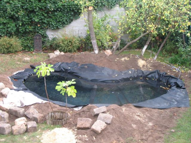 Liner - Bassin jardin