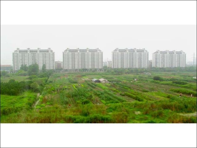 Shangwhy, métropole agricole - archi durable