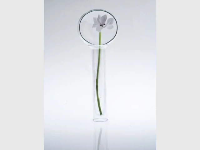 rObin - Exposition En Verre et Contre Tout
