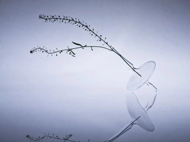 Toupie - Exposition En Verre et Contre Tout