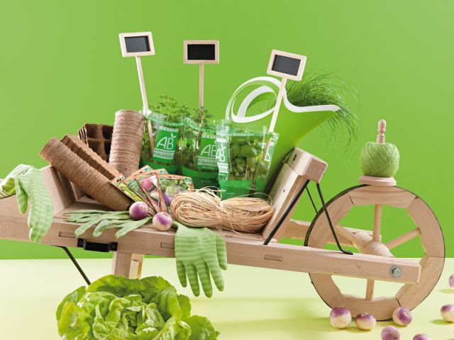 Micro-jardinage : le kit d'accessoires malins