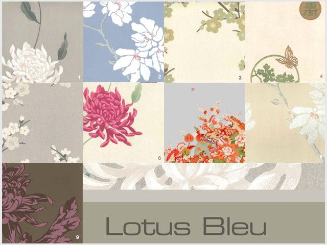 Lotus bleu - Les Papiers Peints vus par Philippe Model