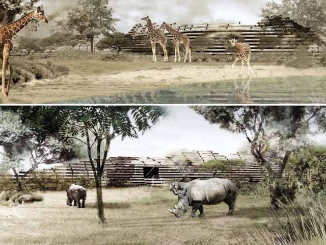 Savane africaine - zoo vincennes