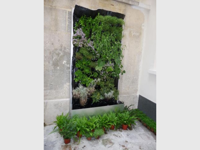 Potagers urbains - Murs végétaux - Les Jardins de Babylone