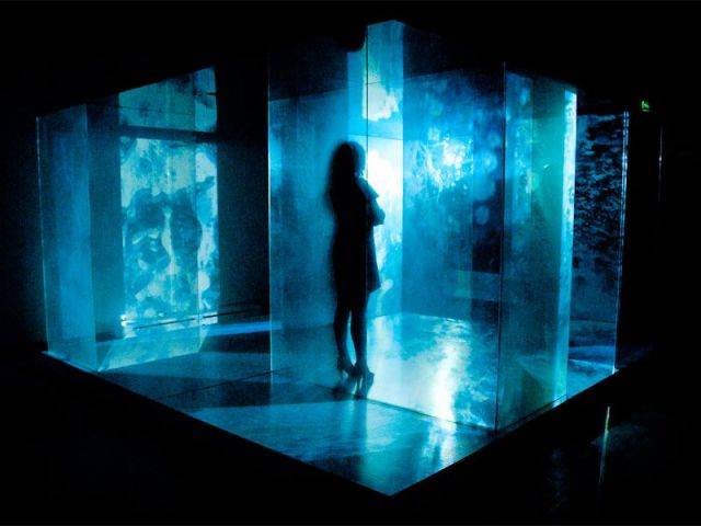 Personnes virtuelles - pavillon des metamoprhoses