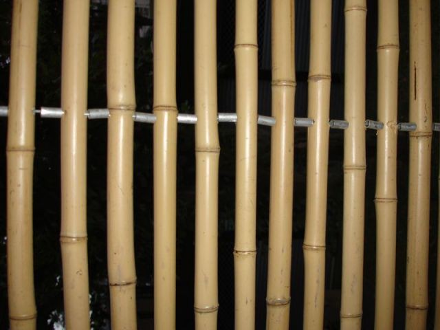 Bambou non traité - maison passive certifiée