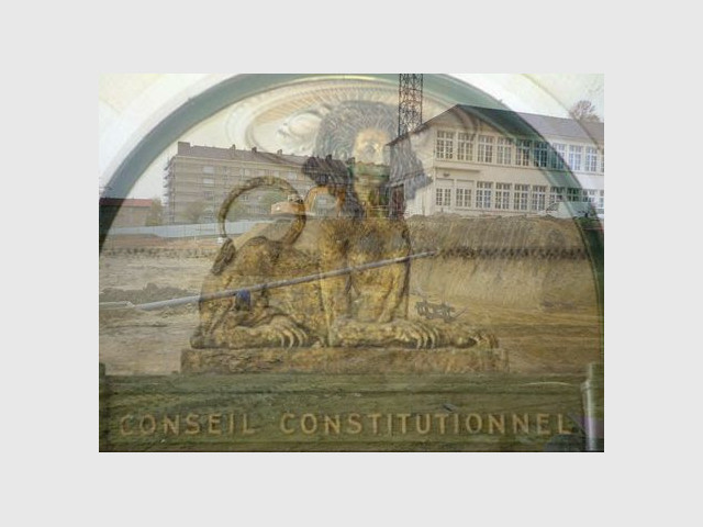 Conseil constitutionnel terrain