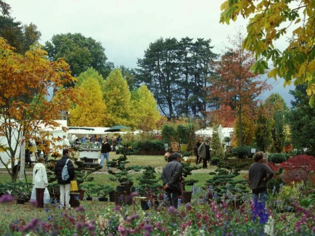Domaine de Courson - fête des plantes