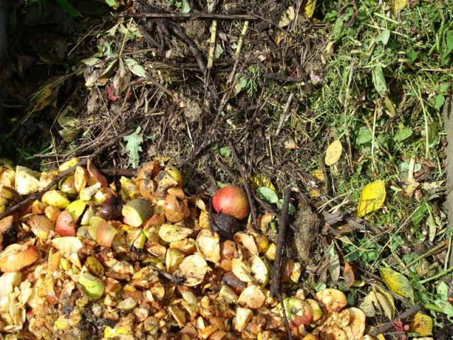 Jardin automne compost Jardin automne compost