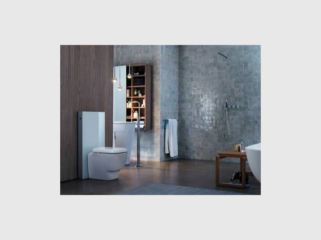 Geberit Monolith Alternative