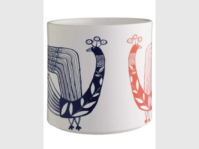 Paons - Tendance animaux