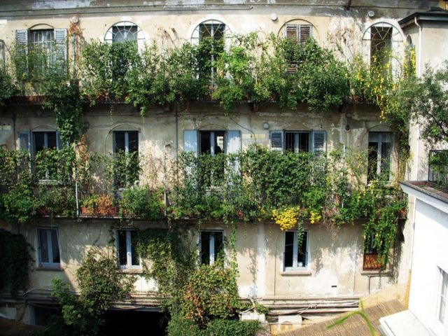 Nature verticale à Milan / Italie