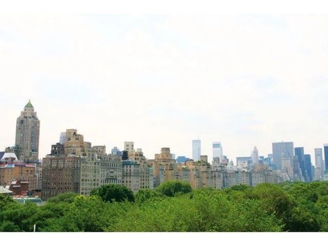 Jardin sur le toit du Métropolitan Museum of Art d