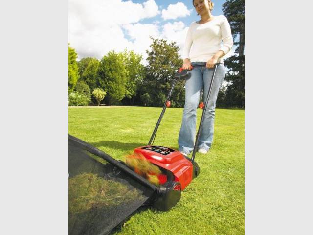 Se débarasser de la mousse - Préparer son jardin au printemps