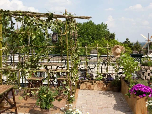 Prix spécial du jury - Jardins en Seine 2011