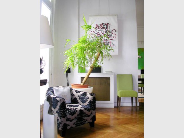 Bambou et art moderne - Appartement Asie moderne