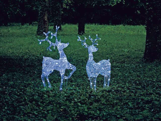 Animaux de Noël - noel