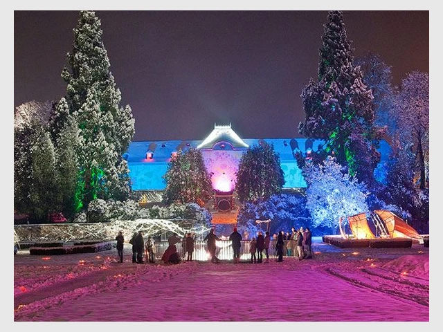 Noël au jardin