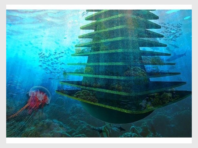 Sea Tree vue sous-marine