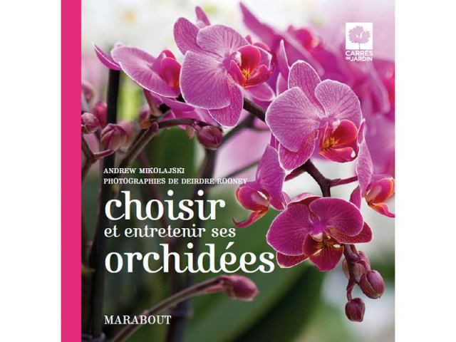 Choisir et entretenir ses orchidées