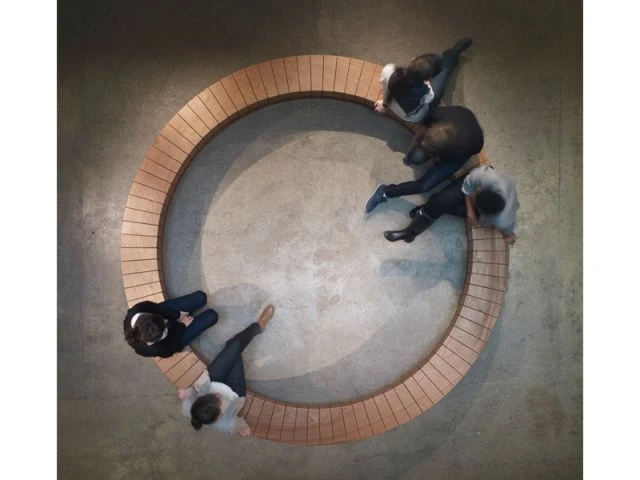 S'interroger sur l'espace - Wood Ring