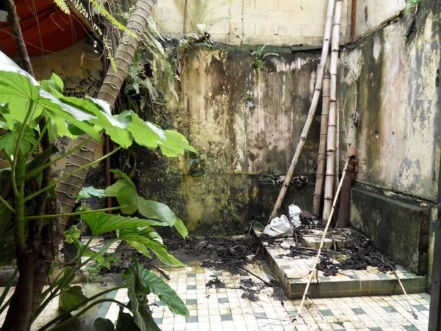La cour avant - maison