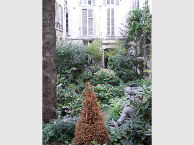 Jardin rue de Seine - Avant - Jardin rue de Seine