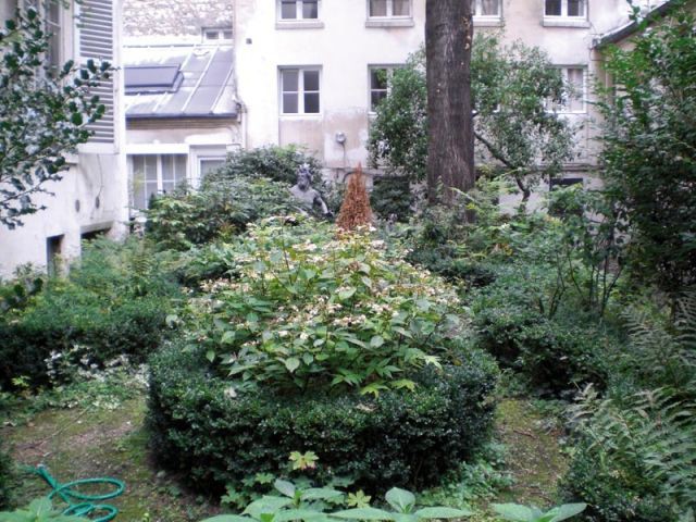 Les haies - Avant - Jardin rue de Seine