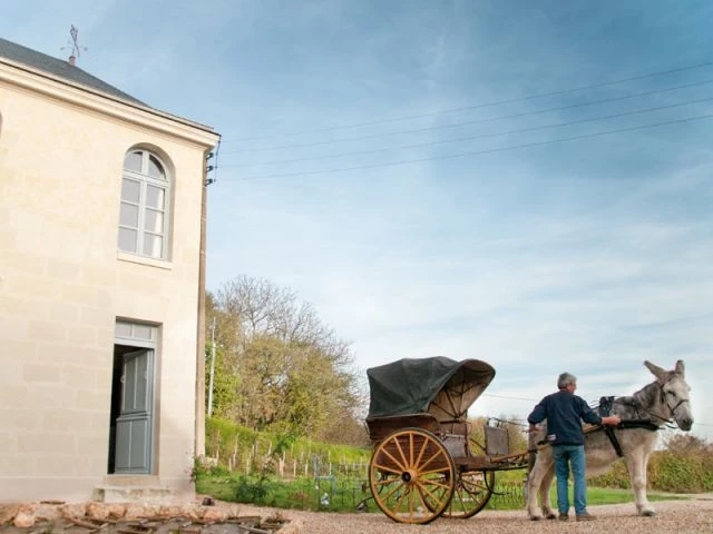 Des promenades en carrioles - Loge de Courtoux