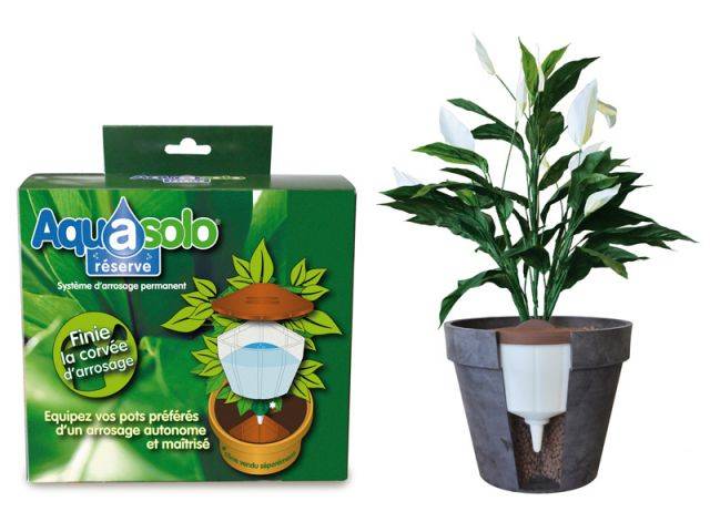 Arroser son jardin et ses plantes quand on part en vacances ! - botanic®